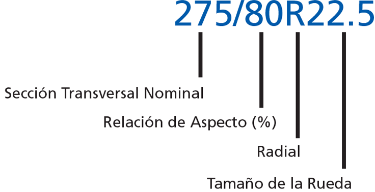 Tire sizing diagram